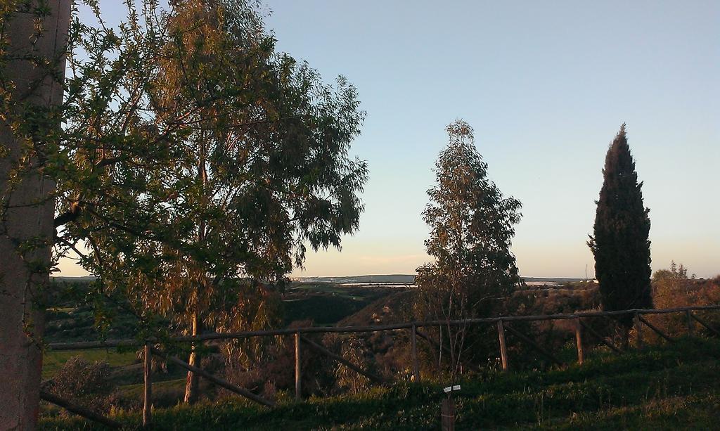 Masseria Strada Agriturismo Ginosa Εξωτερικό φωτογραφία