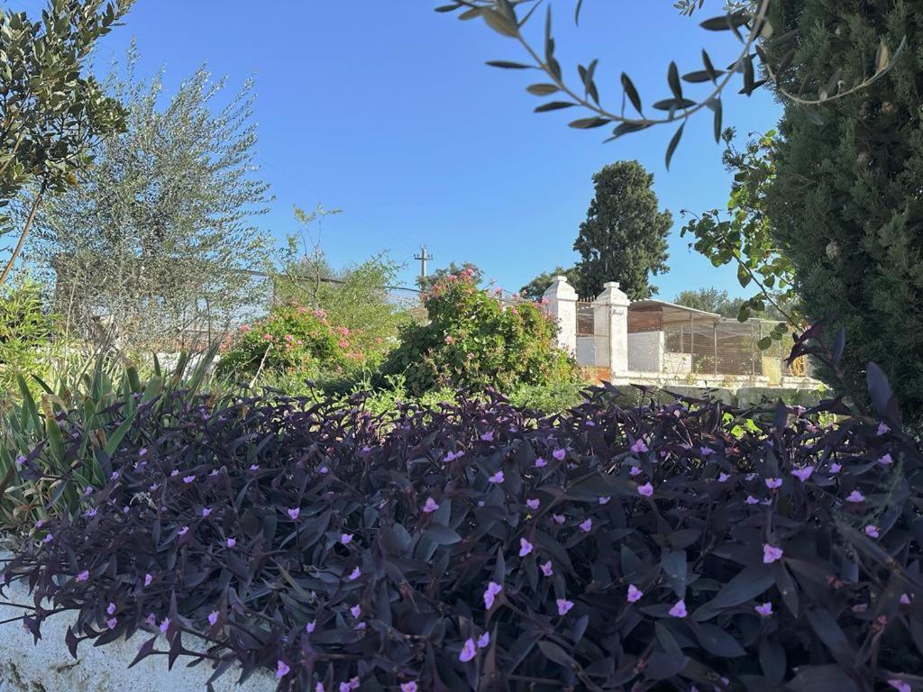 Masseria Strada Agriturismo Ginosa Εξωτερικό φωτογραφία