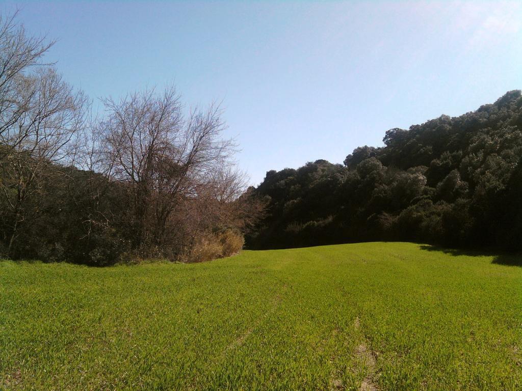 Masseria Strada Agriturismo Ginosa Εξωτερικό φωτογραφία